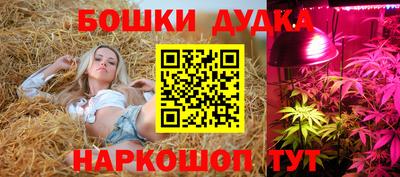 a pvp Моздок