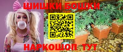 a pvp Моздок