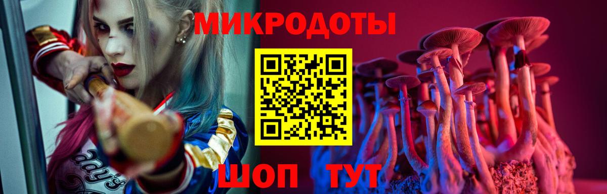 Псилоцибиновые грибы GOLDEN TEACHER Шахты